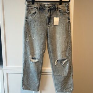 Hidden Bailey Highrise Boyfriend Distressed Jean